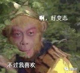 孙悟空吃瓜表情包是什么意思,揭秘网络流行文化的趣味解读
